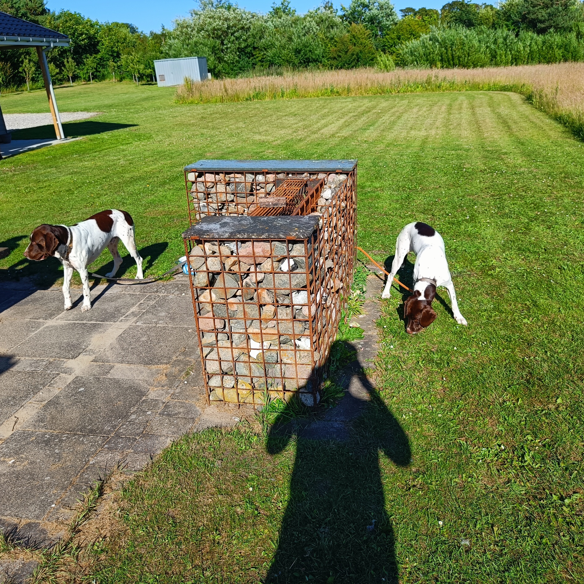 Image 22